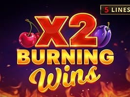 Burning Wins X2 screenshot